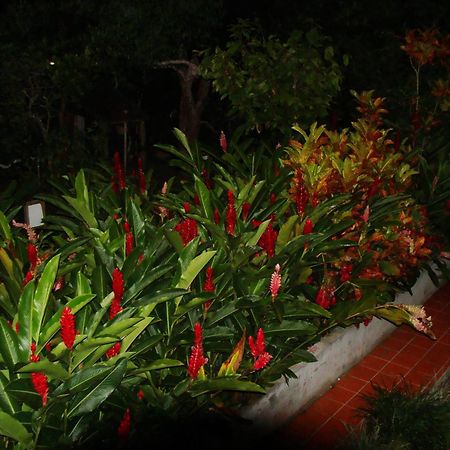 L'Ecomusee Creole De La Guadeloupe Sainte-Rose Kültér fotó