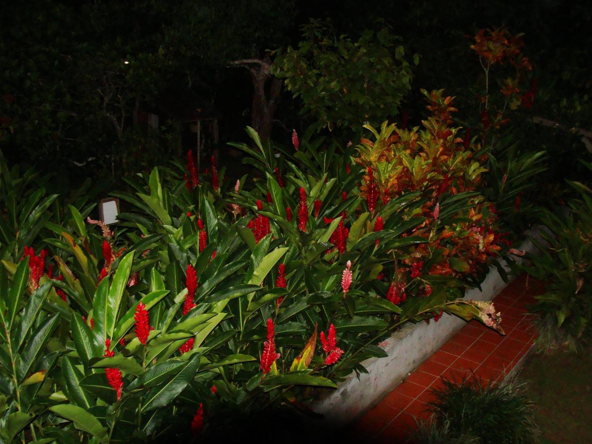 L'Ecomusee Creole De La Guadeloupe Sainte-Rose Kültér fotó