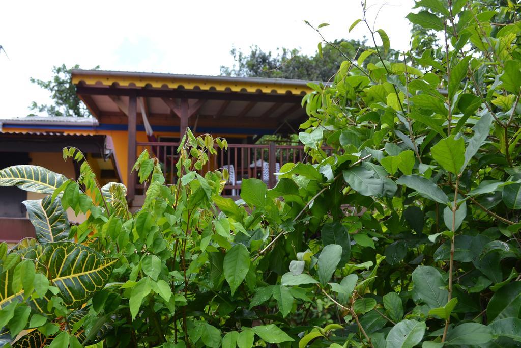 L'Ecomusee Creole De La Guadeloupe Sainte-Rose Kültér fotó
